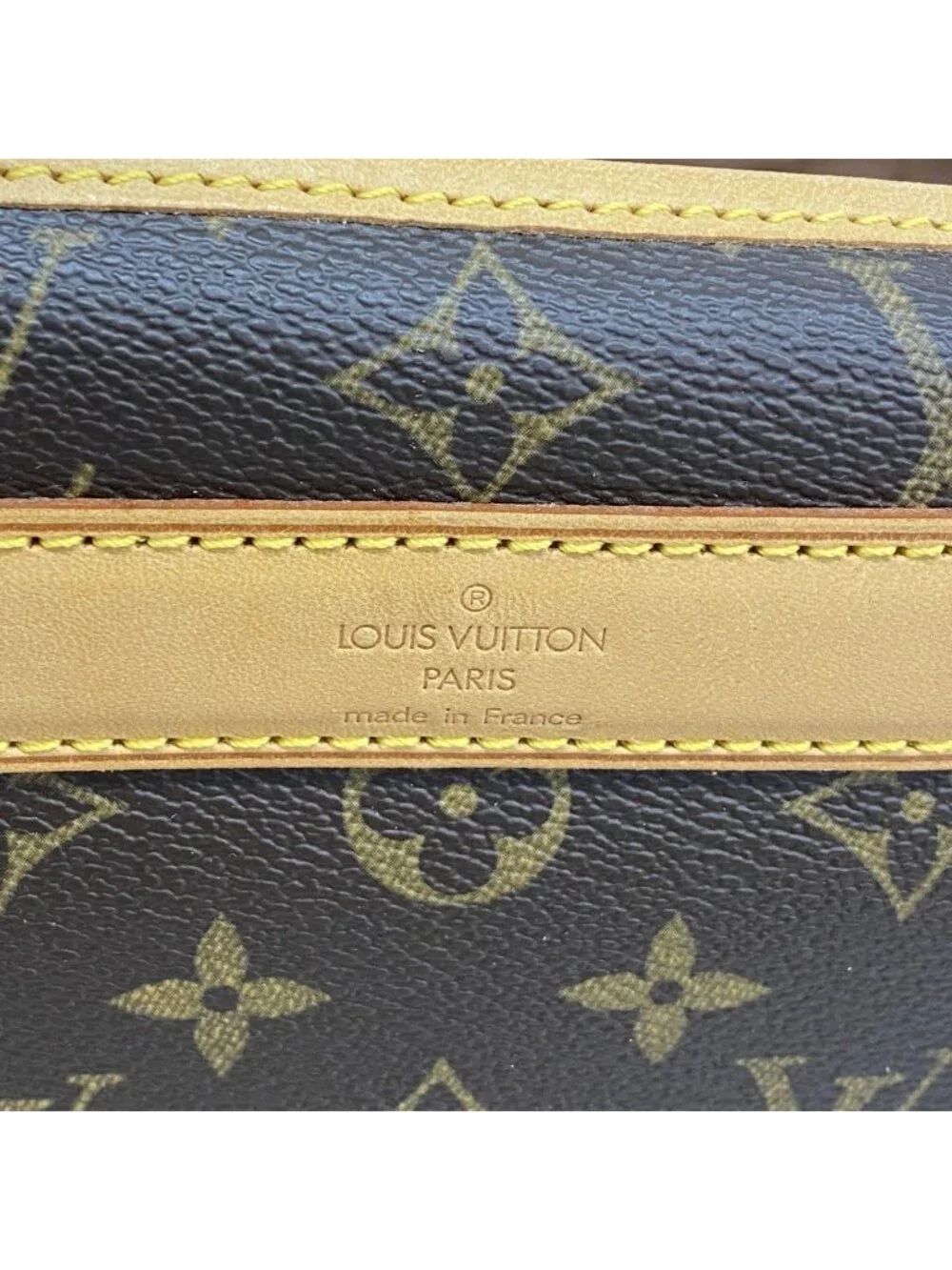 Louis Vuitton Pet Carrier Monogram Sac Brown